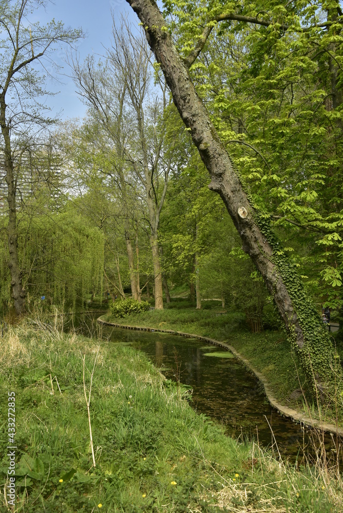 Obraz premium Bras d'étang sous la végétation luxuriante du printemps au parc Josaphat à Schaerbeek