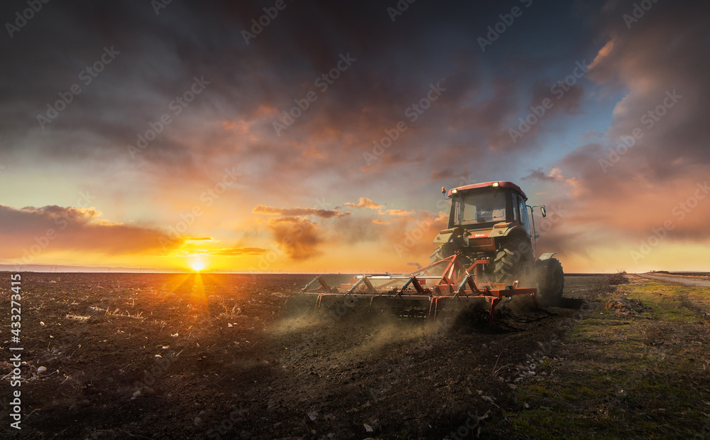 Landscape fantastic sunset on the wheat field - obrazy, fototapety, plakaty 