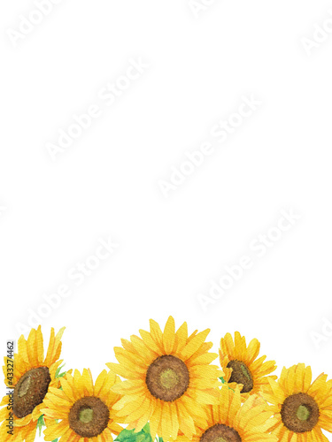 下方に集まる透明水彩の向日葵のイラスト 背景なし Stock Illustration Adobe Stock