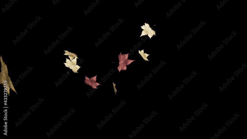 Picture of colorful autumn leaves Picture of colorful autumn leaves
