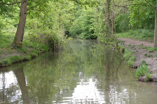 Cours d'eau dans le Bois de Vincennes