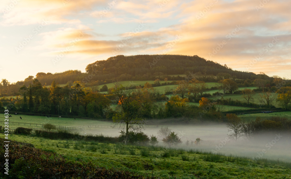 Foggy sunrise over the farmland in the midlands of Ireland.