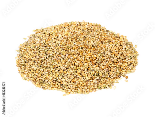 pile of unhulled foxtail millet seeds on white