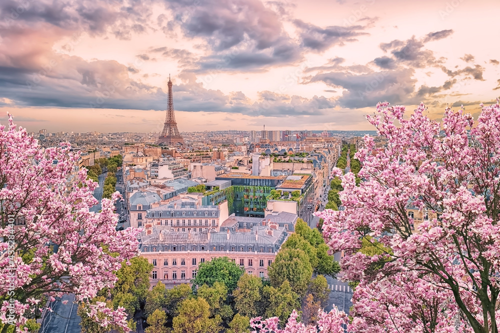 Paris city in the springtime - obrazy, fototapety, plakaty 