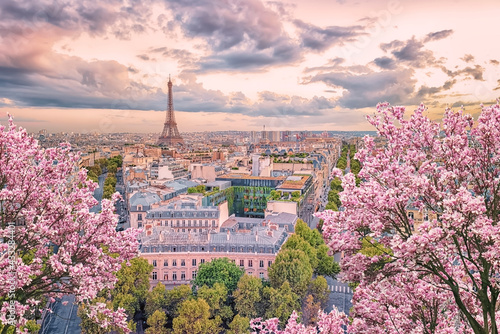 Fototapeta Paris city in the springtime