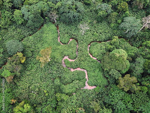 Gabon, Mikongo, Aerial view of winding river in green lush jungle