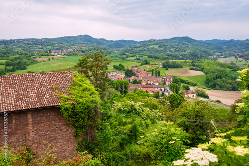 The Monferrato hills panorama, covered by vineyards and hazelnut's trees, during springtime. Piedmont, Northern Italy, Alessandria Province.