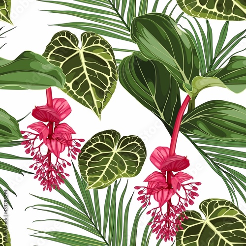 Summer colorful background. Seamless pattern with tropical  Medinilla flowers. Fashionable illustration with palm leaves and plant on a white background.