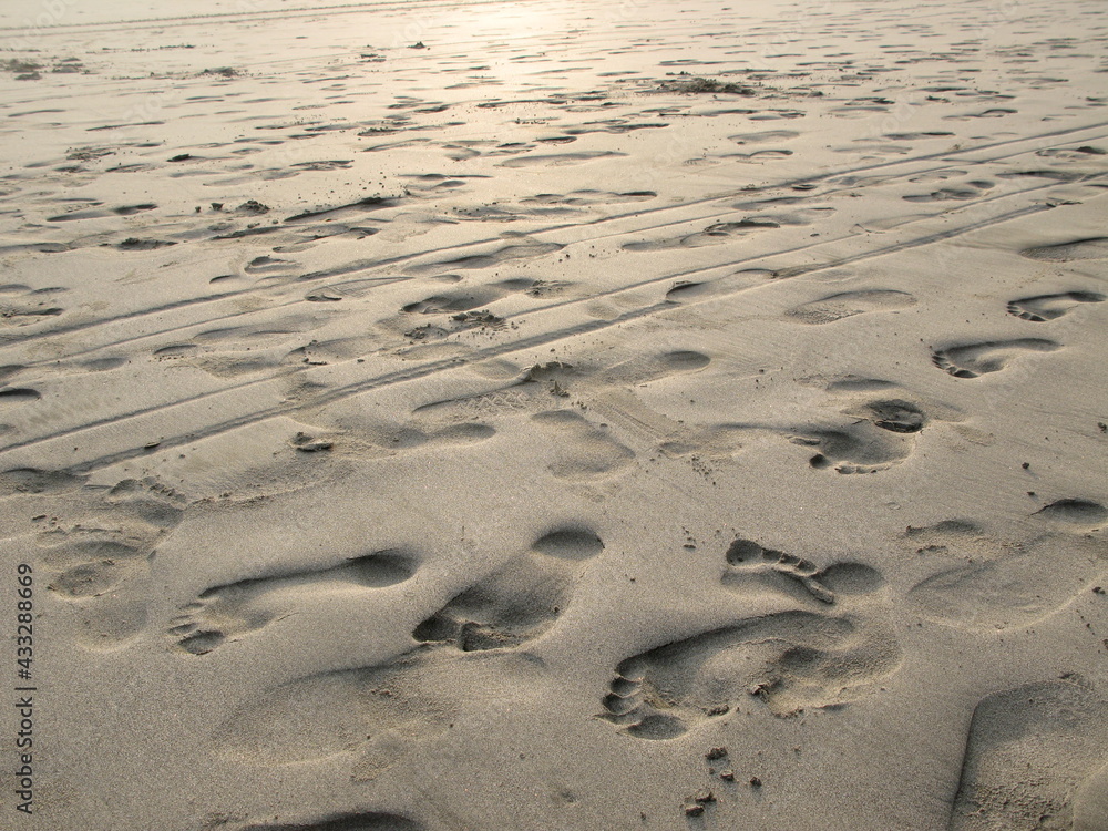 Footprints in the sand, beach tracks, Manuel Antonio, Costa Rica Footprints in the sand, beach tracks, Manuel Antonio, Costa Rica
