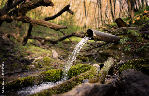 water flowing from a tree