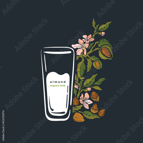 Almond plant and glass of milk Vector branch, nut