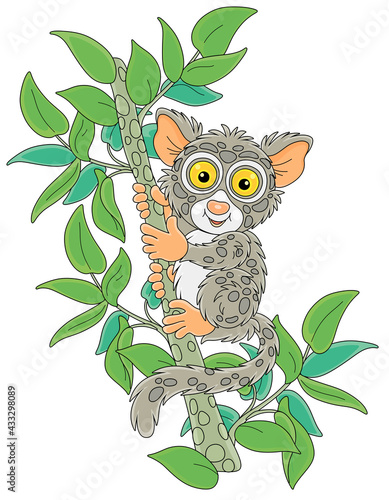 Funny small Philippine tarsier, tree-dwelling exotic primate with very large eyes and a long tufted tail, sitting on a green tree branch in a tropical jungle, vector cartoon illustration
