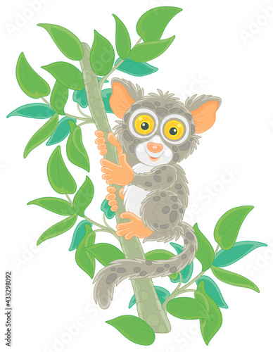 Funny small Philippine tarsier, tree-dwelling exotic primate with very large eyes and a long tufted tail, sitting on a green tree branch in a tropical jungle, vector cartoon illustration