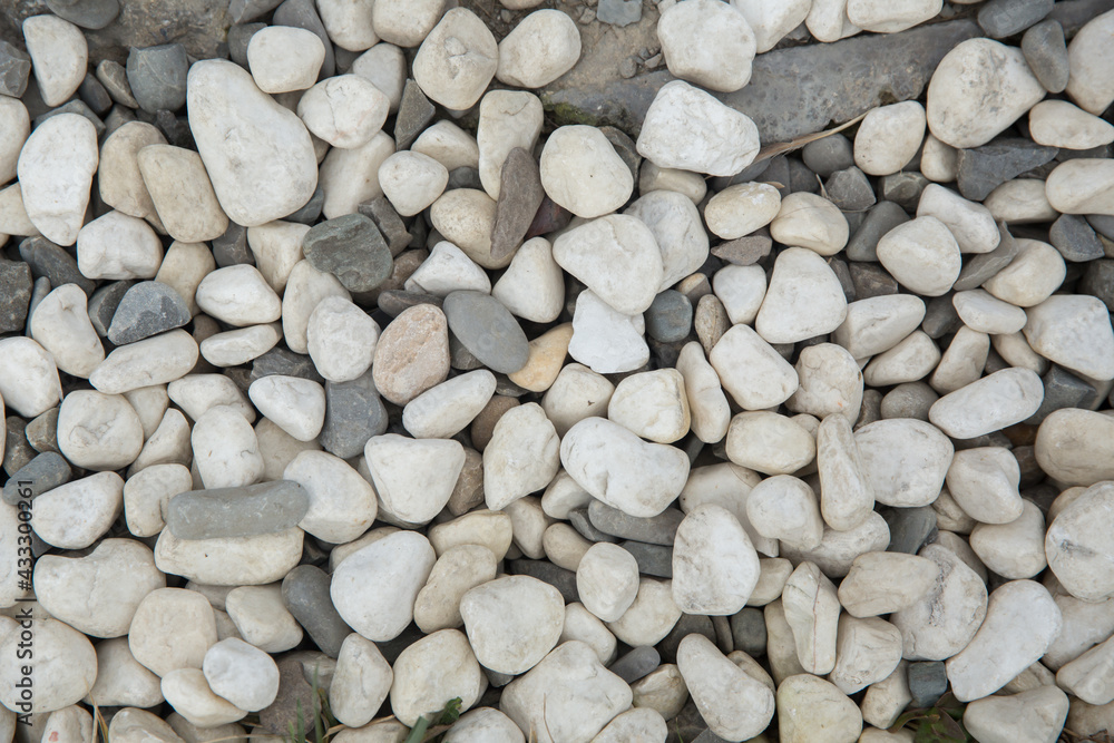 Decoration material for garden . White pebble on the small garden ground inside the house . Sea stones. For cackground an Textures . White and gray pebble on the small garden ground. Decoration material for garden . White pebble on the small garden ground inside the house . Sea stones. For cackground an Textures . White and gray pebble on the small garden ground.