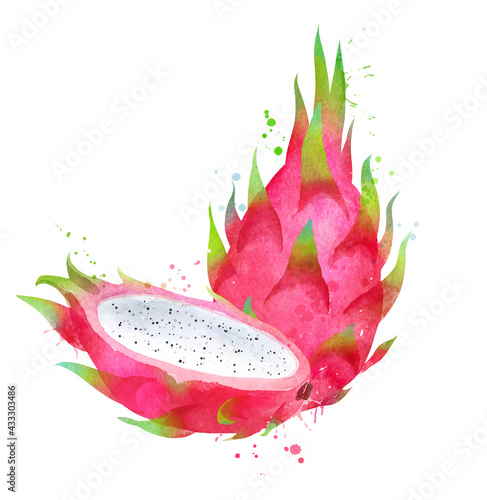 Watercolor vector illustration of Dragon fruit