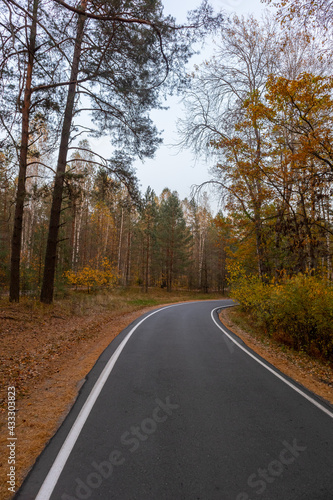 narrow twisted road in autumn forest