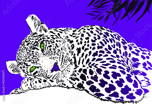 Banner with a lying pensive leopard on a colored background with tropical leaves. Creative illustration on the theme of wildlife and animals