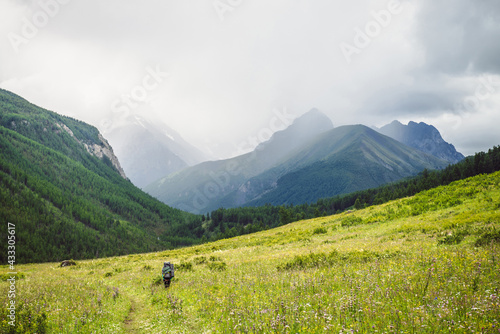Dramatic vivid mountain landscape with green forest under pointed peak among rainy low clouds. Scenic alpine view to sharp mountain pinnacle under cloudy sky in overcast weather. Mountains scenery. © Daniil