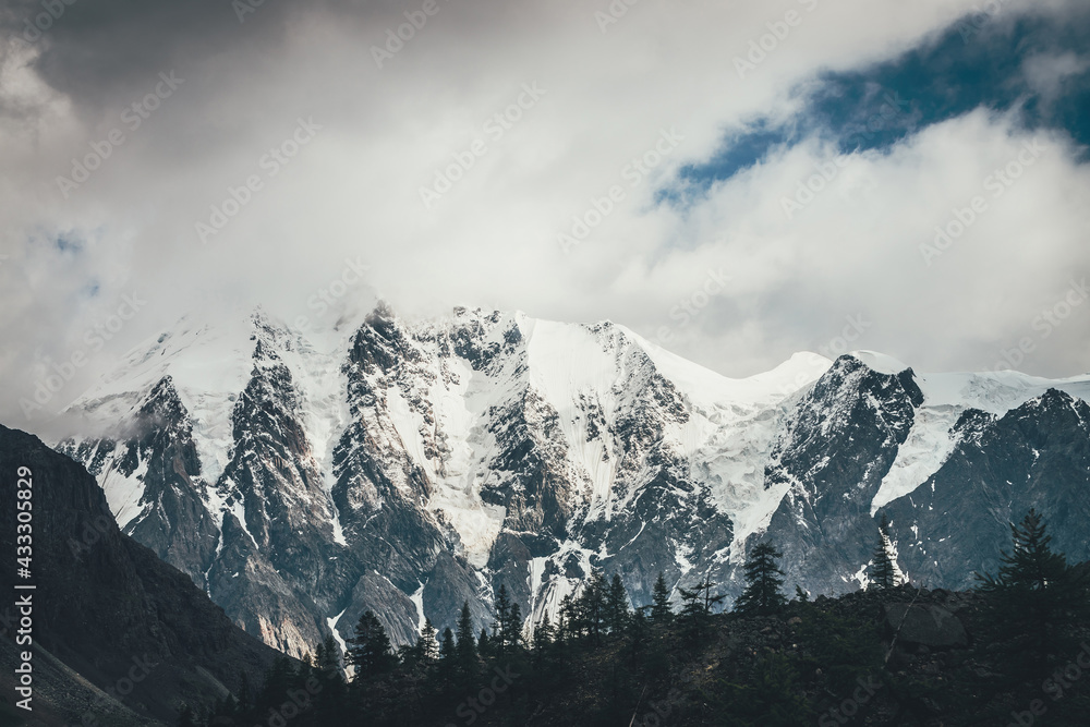 Obraz premium Forest silhouette on moraines against big glaciers on high mountains in sunlight in low clouds. Coniferous trees silhouettes on moraine on background of great snowy mountains in sunshine in cloudy sky