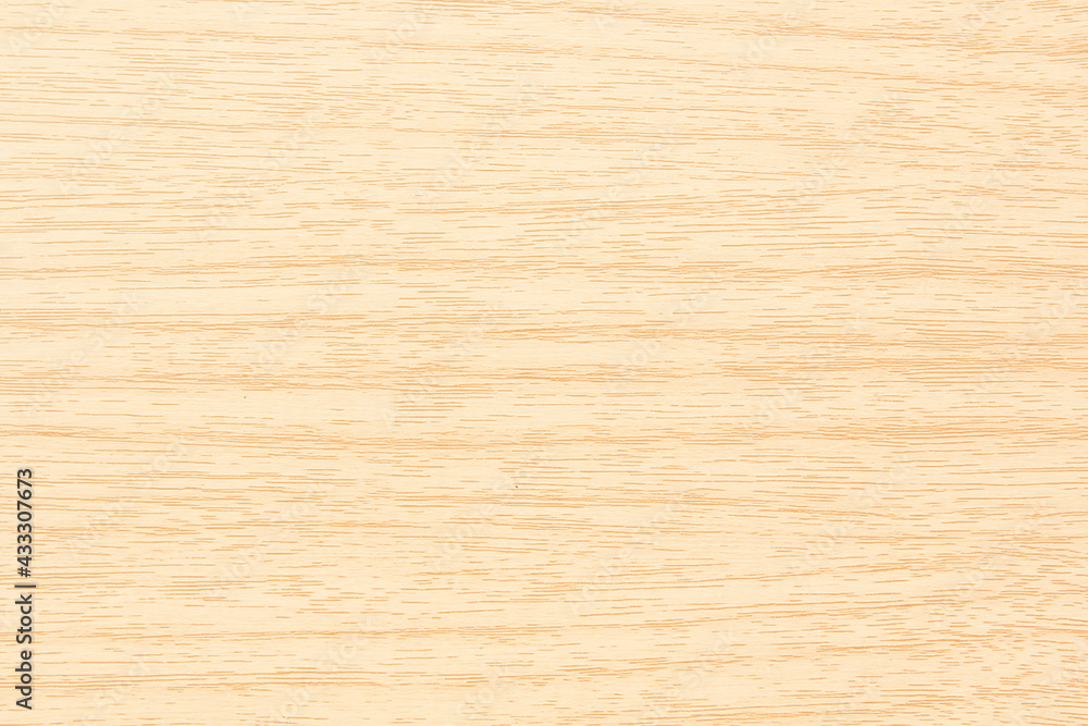 Wood texture of bark wood use as natural background and light wood Wood texture of bark wood use as natural background and light wood
