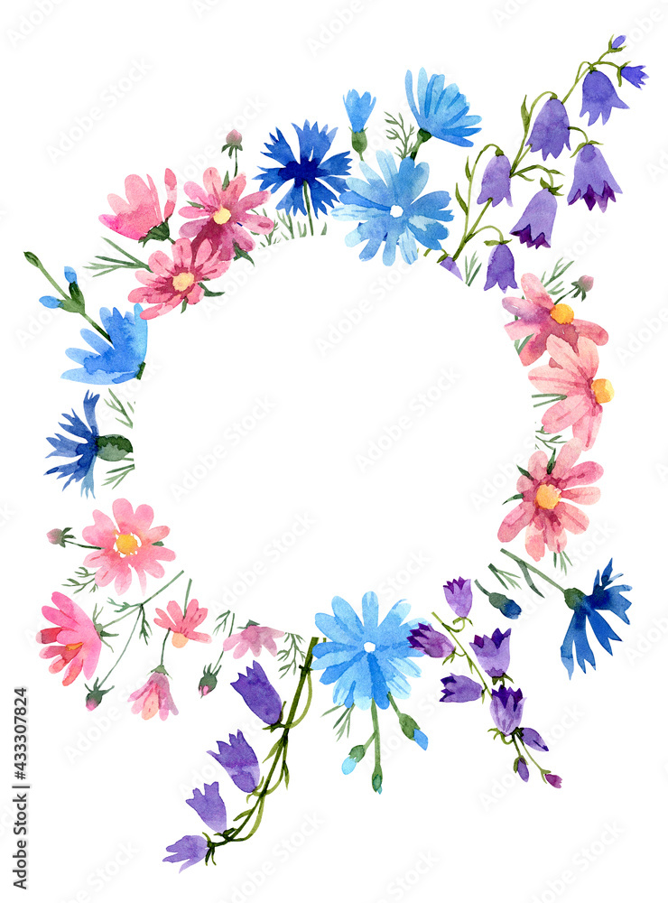 Wild flowers circle border: pink cosmos flower, chicory, bluebell, blue cornflower. Hand drawn watercolor illustration. Isolated on white background