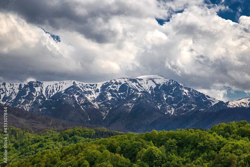 Colorful landscape in spring with snow-capped mountains and green forest.