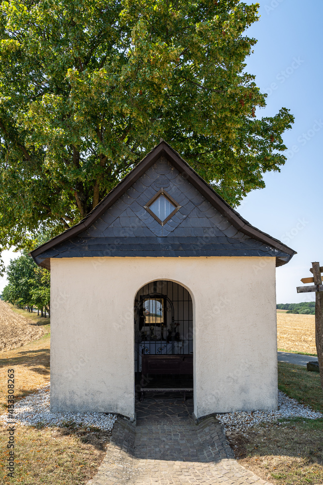 Small chapel in landscape with huge tree in the background