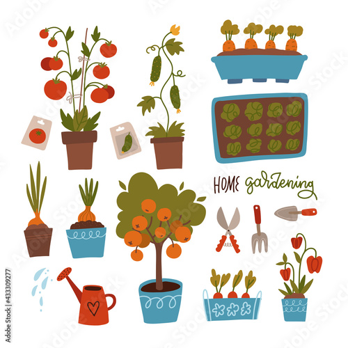 Seeds and seedlings set. Germination of sprouts. Tools, pots and soil for planting. Collection of gardening elements isolated vector illustration on white background
