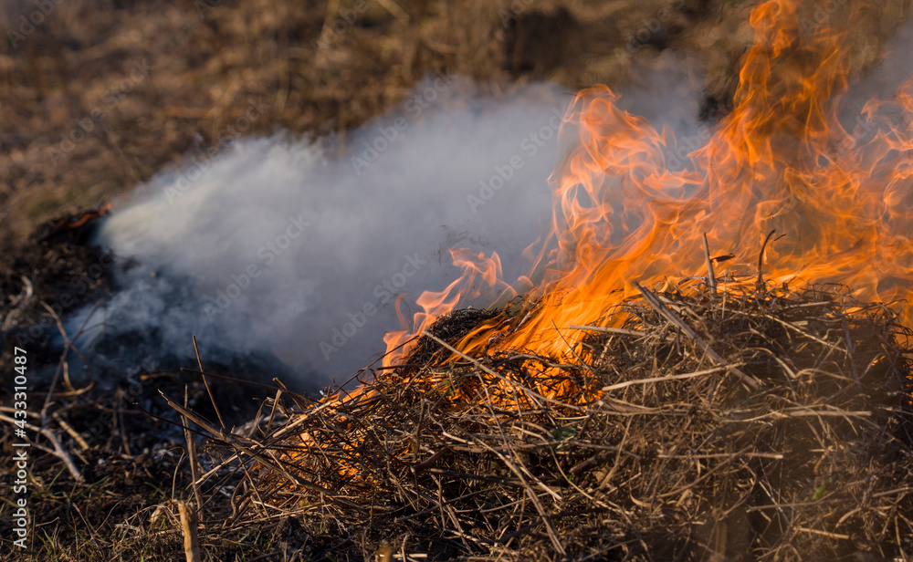dangerous burning of old grass and foliage in the field dangerous burning of old grass and foliage in the field