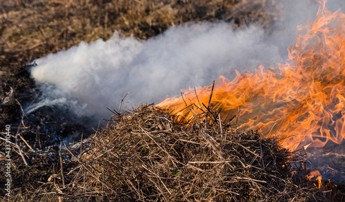 dangerous burning of old grass and foliage in the field