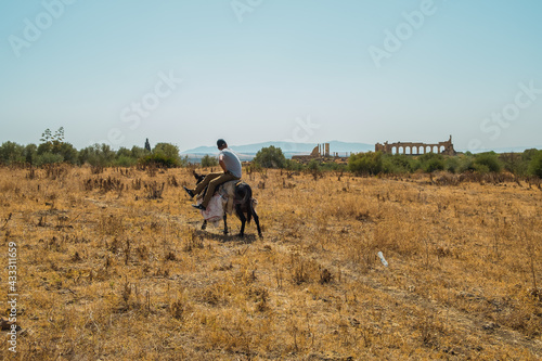 Fototapeta Naklejka Na Ścianę i Meble -  Hombre encima de un burro cerca de las ruinas arquológicas de Volubilis, Marruecos