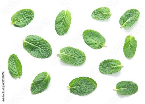 fresh green mint leaves isolated on white background. top view.
