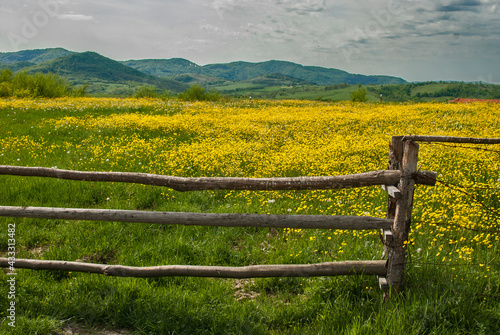Countryside landscape with rural wooden fence closeup