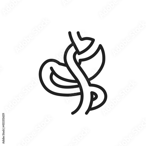 Gastric bypass Roux-en-Y line icon. Isolated vector element.