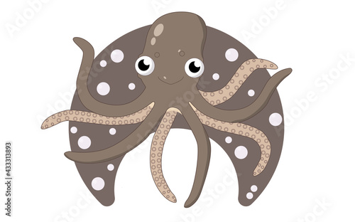 Brown octopus cute sea dweller