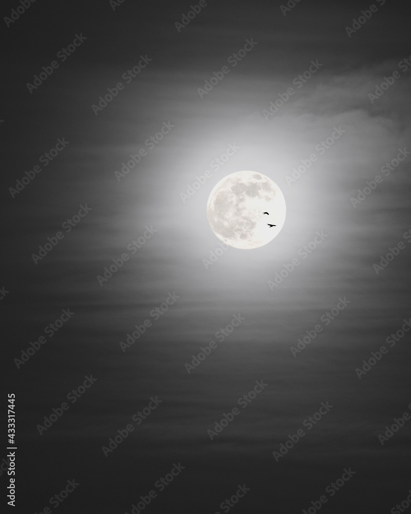 full moon in the night sky Stock Photo | Adobe Stock