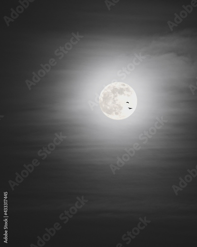 full moon in the night sky