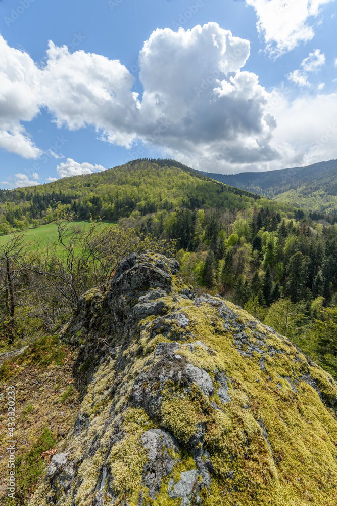 Obraz premium Mountain landscape in spring in the Vosges.