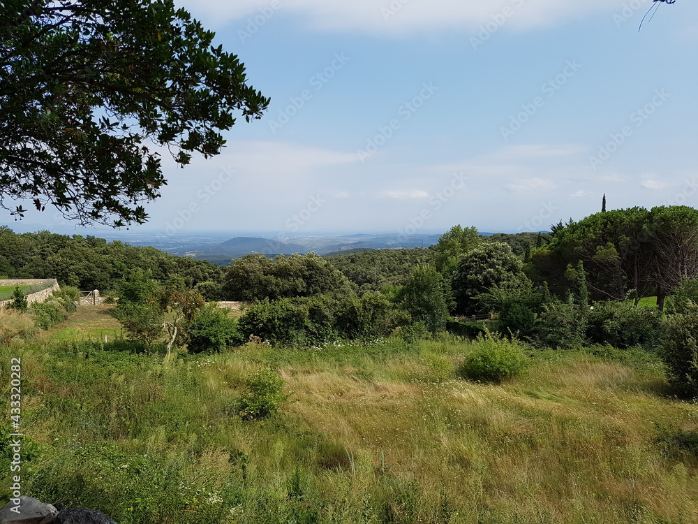 natur natur