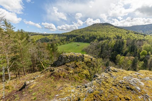 Mountain landscape in spring in the Vosges.