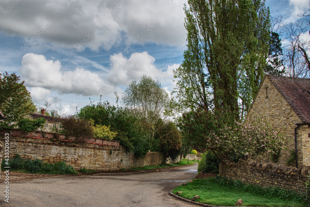 road in the village road in the village