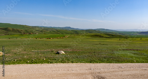 Pastoral landscape in green Kahetia fields photo