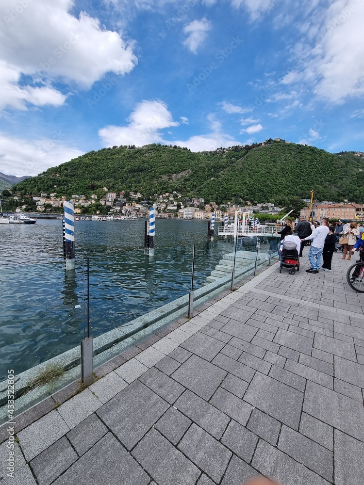 boats in the harbor