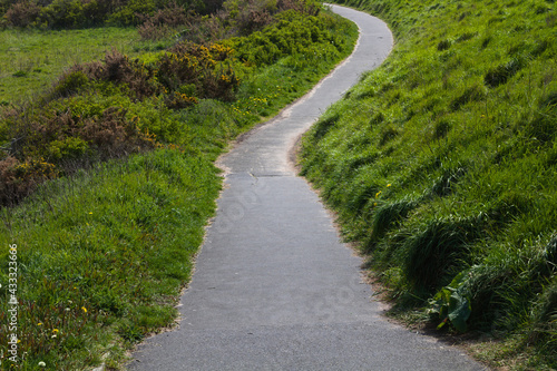 Green path near Tynemouth, UK © harry