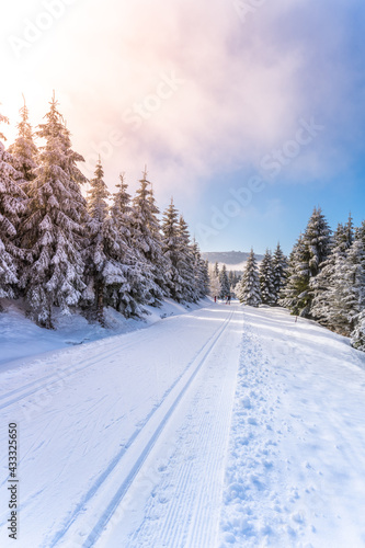 Cross country skiing track on sunny winter day. Freezy snowy landscape of Jizera Mountains, Czech Republic