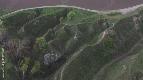 landscape of different terrain top view, landscape and nature lines, background and texture on the theme of flora, active lifestyle