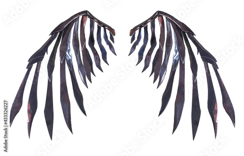 Devil wing plumage isolated with clipping path