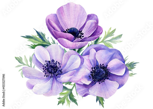 Billede på lærred Bouquet flowers, anemones isolated on white background