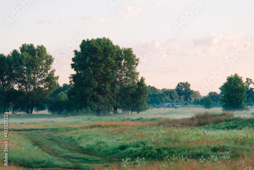 Sunrise in the morning forest overlooking nature. Morning fog spreads over the ground. Rural landscape. Meadow and forest. 