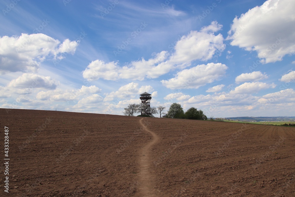 Fototapeta premium A little path across the field leading to the wooden lookout tower in Zernovnik, Czech republic